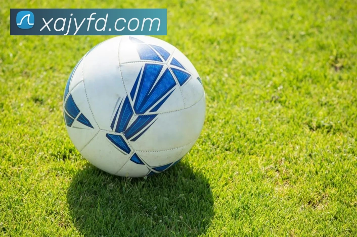 beat365官方网站入口APP 高清赛事图